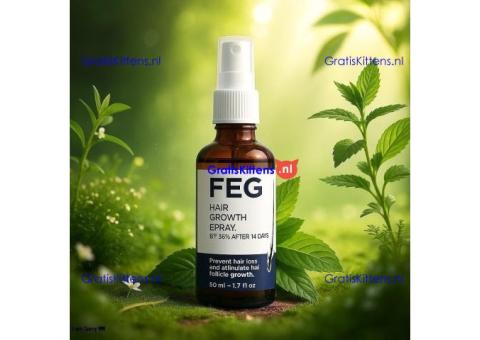 FEG Plus Hair Growth Spray in Pakistan – Ultimate Solution for Hair Regrowth - 03001819306
