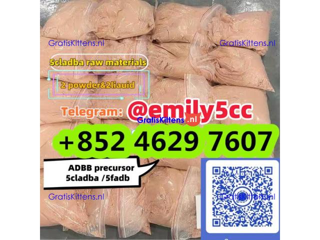 5cladba raw material 5CL-ADB-A precursor raw 5cladba 5f adb