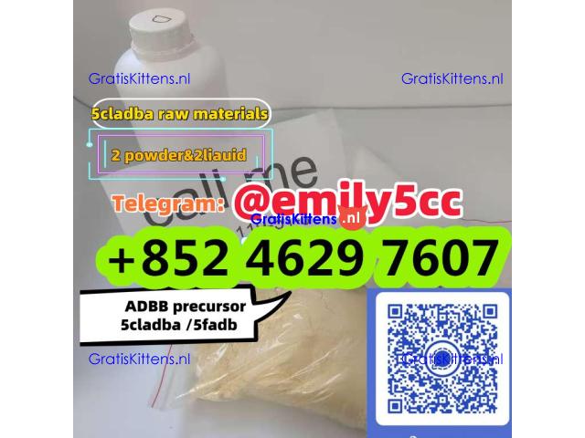 5cladba raw material 5CL-ADB-A precursor raw 5cladba 5f adb