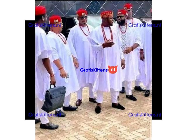 +2347036230889 I want to join occult for money ritual