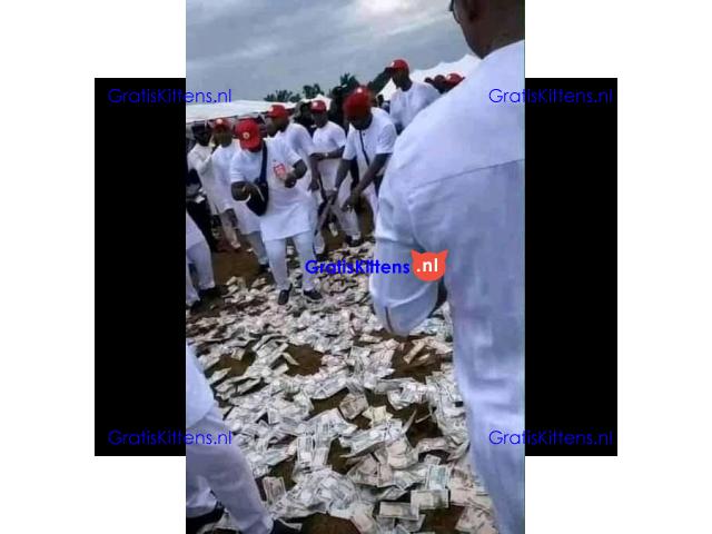 ஜ+2347036230889 I want to join occult for money ritual