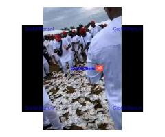 ஜ+2347036230889 I want to join occult for money ritual