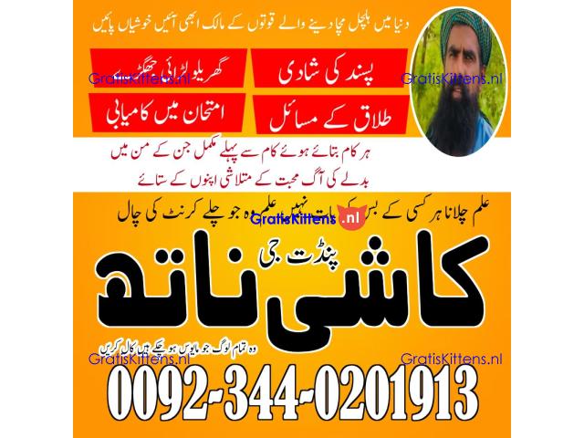 kala jadu expert usa, amil baba in canada, Amil baba in lahore,