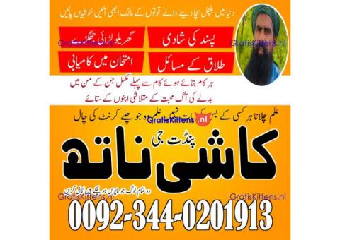 kala jadu expert usa, amil baba in canada, Amil baba in lahore,