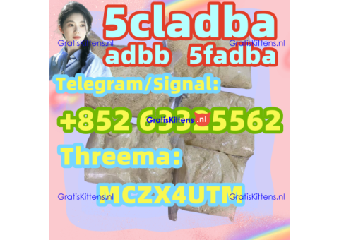 5cladba 5cl 5cladba precursors 5cl-adb- Quick home delivey