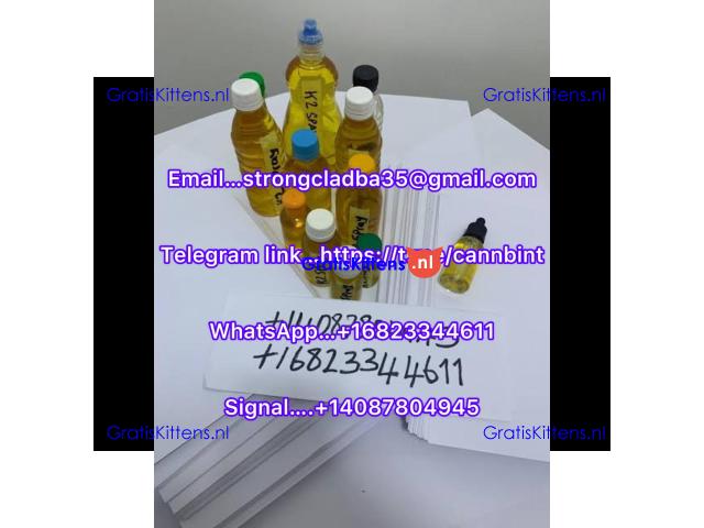 Buy K2 paper/spray online at cheap price