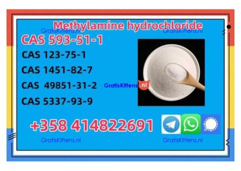 Buy High Quality CAS 593-51-1 Methylamine Hydrochloride at Best Price