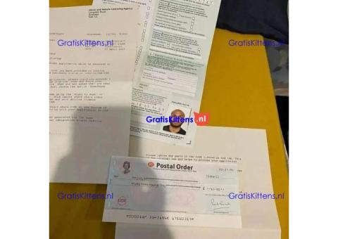 Compre pasaportes reales y falsos.