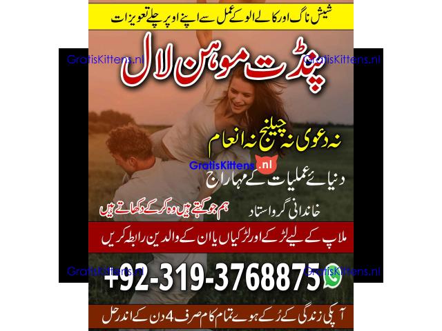 Amil Baba in Quetta, Charsadda, Bannu, Kohat, Swat, Abbottabad A1