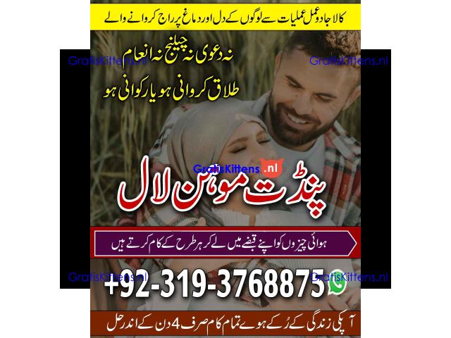 Black Magic Specialist& Expert Amil Baba In Germany Italy Spain Portugal Netherlands A1