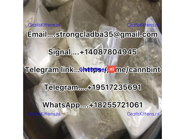 Buy 6CLADBA, 5CLADBA, Buy K2 Paper Sheet,Buy K2