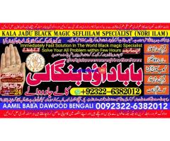 D2 online istikhara for love marriage vashikaran specialist love problem solution astrologer