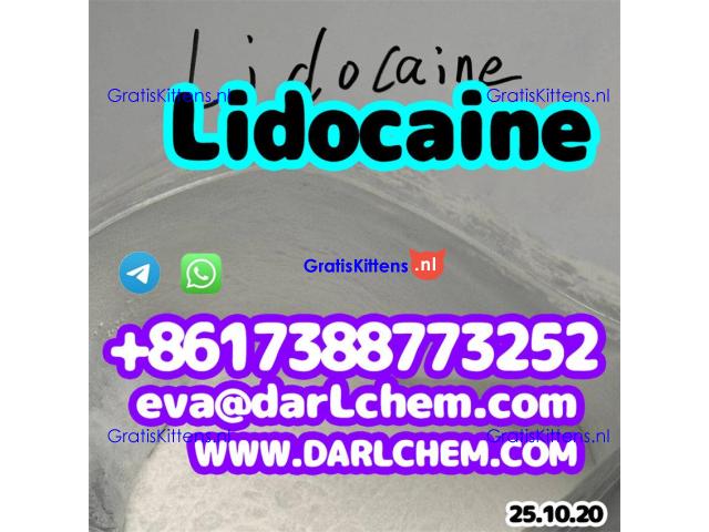 Pharmaceutical Lidocaine base hcl crystals powder 137-58-6 Raw Purity