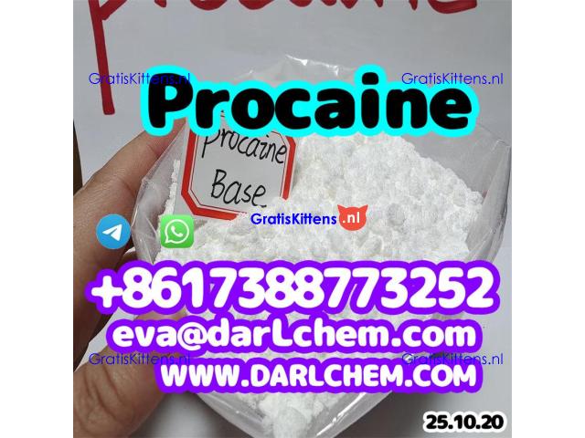 Procaine crystals Powder 59-46-1 Chinese Factory, 99% Purity Em Po Polvo Door to Door