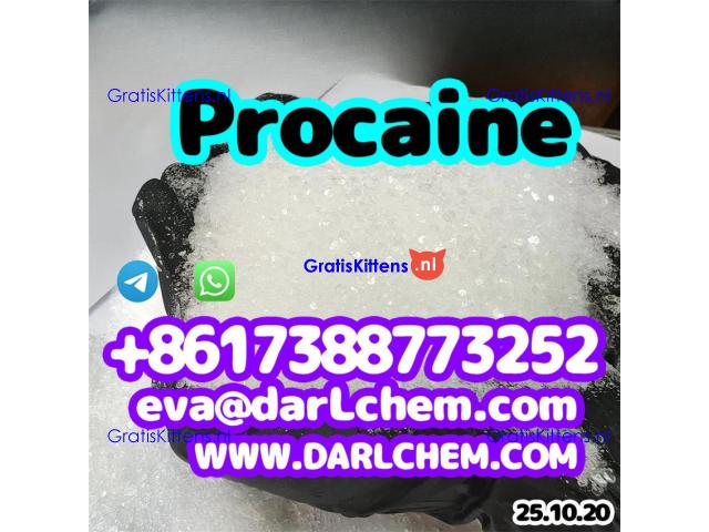 Procaine crystals Powder 59-46-1 Chinese Factory, 99% Purity Em Po Polvo Door to Door