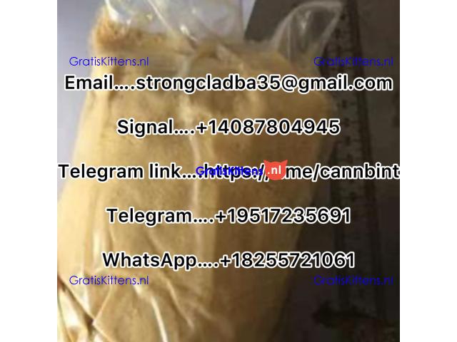 Buy K2 paper/spray online at cheap price