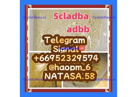 5cladba raw material 5CL-ADB-A precursor raw 5cladba 5f adb