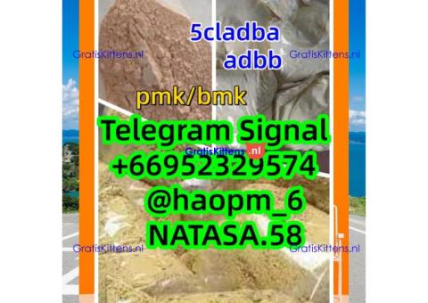 High - quality 5cladba and Adbb