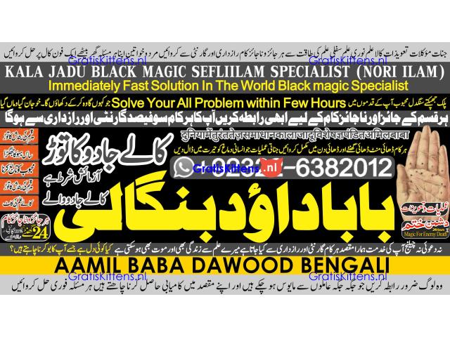 D2 Black Magic Expert in Amercia Black Magic Expert Specialist In Spain