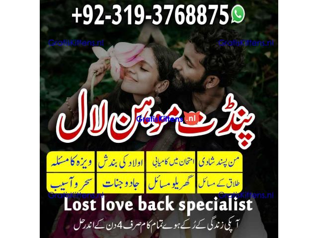 Amil Baba in Khanewal, Kasur, Sheikhupura A1