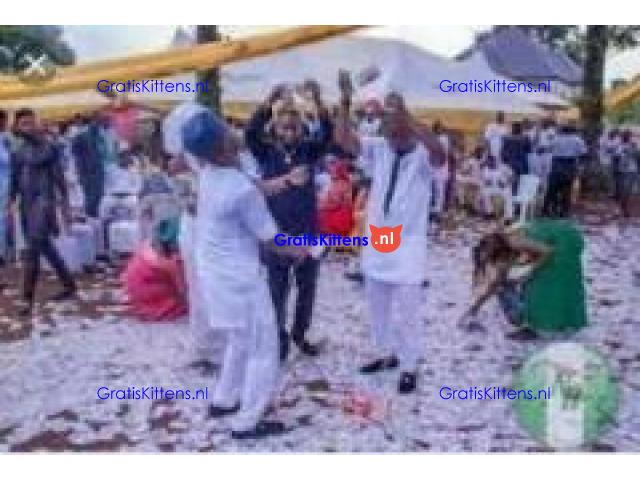 ༻+2347036230889 I want to join occult for money ritual in Nigeria