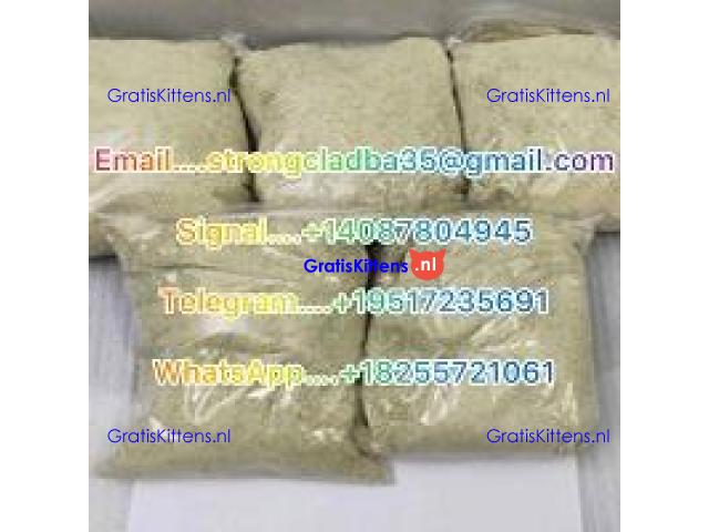 BMK Powder and Oil,PANACA,Research chemical,