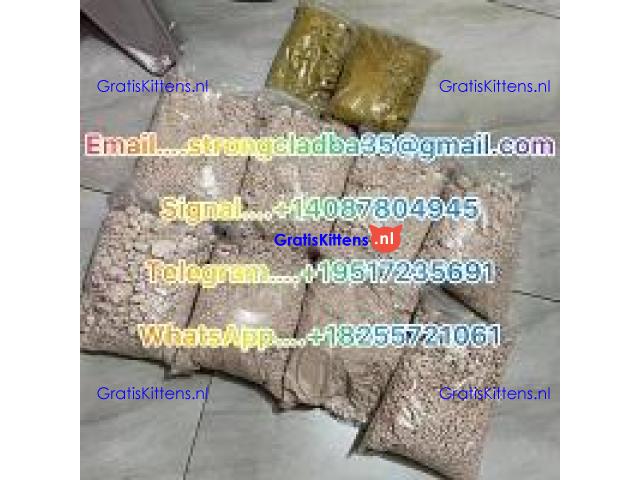 BMK Powder and Oil,PANACA,Research chemical, 5cladba, 6cladba, ADB-BUTINACA, 5CL powder,