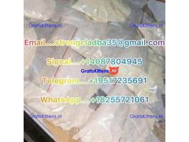 BMK Powder and Oil,PANACA,Research chemical, 5cladba, 6cladba