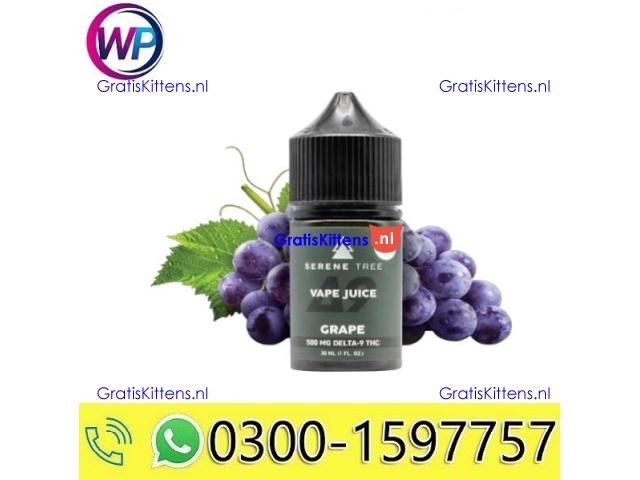 SERENE TREE THC VAPE JUICE IN Gujranwala~03001597757