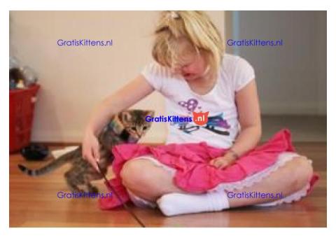 Uitstekende Bengaalse kittens Gratis beschikbaar