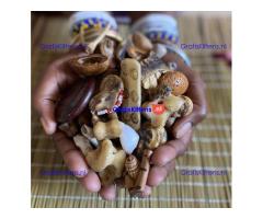 Revenge Spellcaster +27738183320