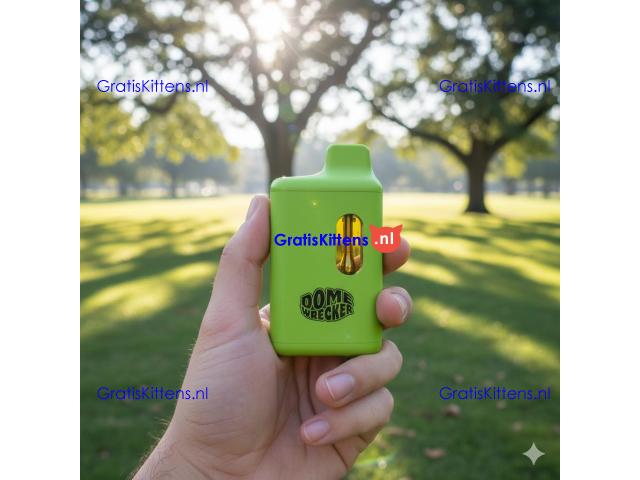 Domewrecker THCa Liquid Diamonds Disposable 5g In Multan~03001597757