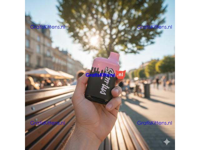 Fizzy Pops Grape Blast Liquid Diamond Disposable Vape In Larkana~03001597757