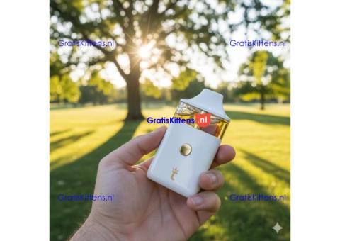 Torch Caviar Sauce Disposable 4.5G In Pakistan~03001597757