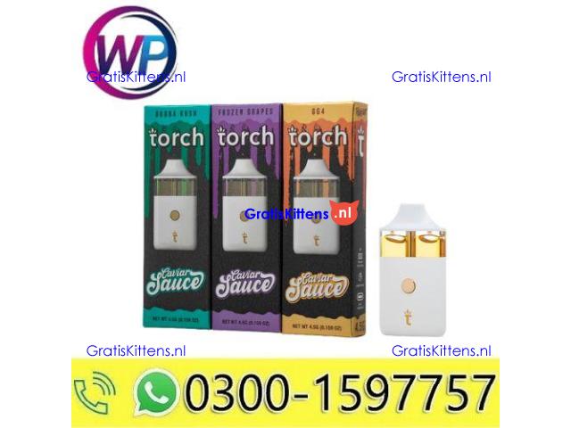 Torch Caviar Sauce Disposable 4.5G In Mingora~03001597757