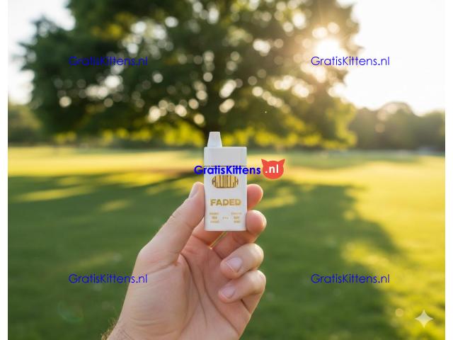 Faded THCa | THCP Switch Edition Disposable Vape 6ml in Mardan~03001597757