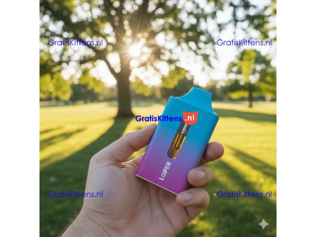 Looper XL Blended Disposable 3g In Pakistan~03001597757