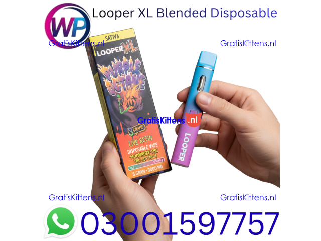 Looper XL Blended Disposable 3g In Nawabshah~03001597757