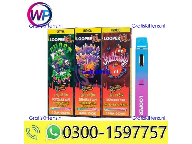 Looper XL Blended Disposable 3g In Bahawalnagar~03001597757
