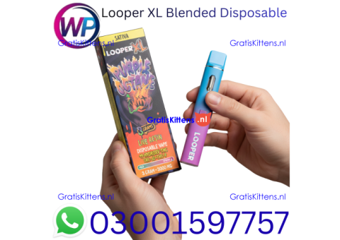 Looper XL Blended Disposable 3g In Tando Allahyar~03001597757