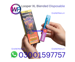 Looper XL Blended Disposable 3g In Tando Allahyar~03001597757