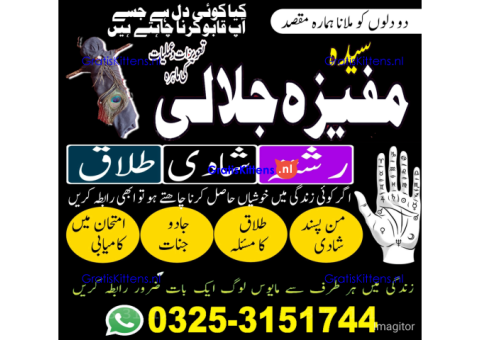 Great astro, kala jadu for love marriage, Amil baba 03253151744 Black magic Master in France