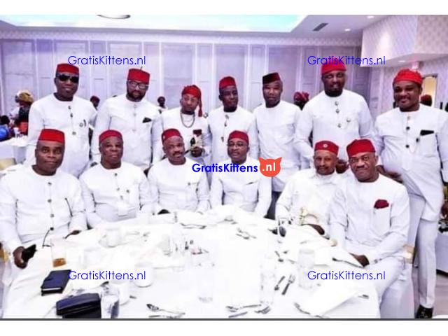 +2347033464470 #how to join Illuminati secret society in Nigeria