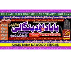 Love Vashikaran Specialist Kala Jadu Expert Specialist In USA Kala Jadu Expert In UAE B6