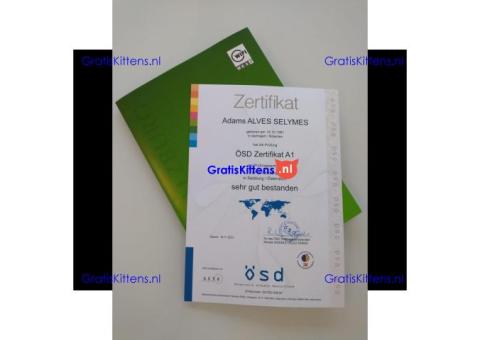 Goethe-Zertifikat B1 in Berlin WhatsApp(+371 204 33160)Buy TELC-GOETHE Zertifikat