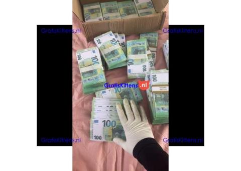 Wij hebben biljetten van de beste kwaliteit in alle valuta.