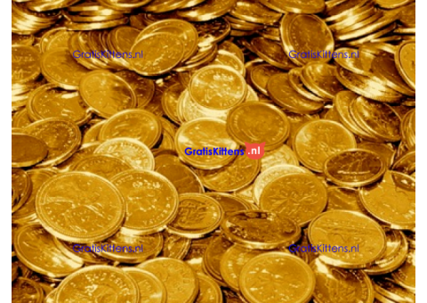 AU GOUDEN STAAF TE KOOP