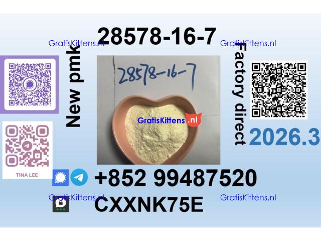 28578-16-7 BMK source factory Premium Quality