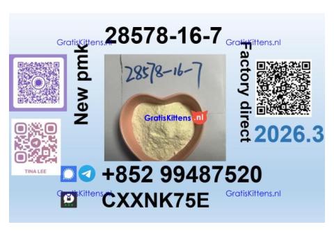 28578-16-7 BMK source factory Premium Quality