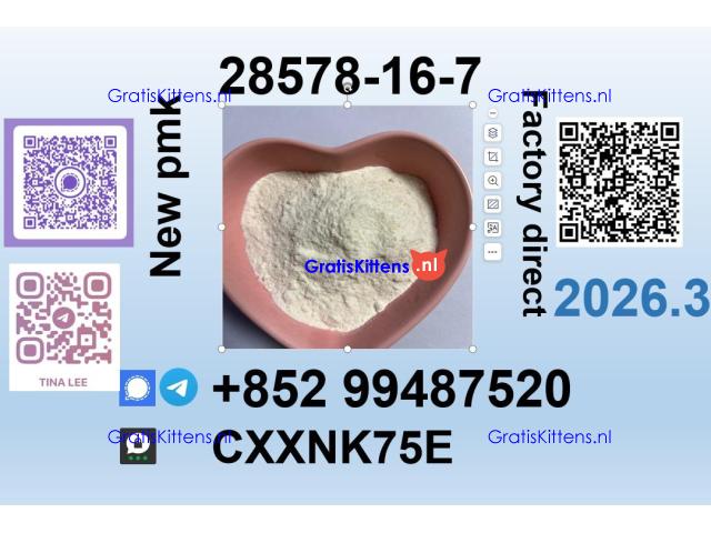 28578-16-7 BMK source factory Premium Quality